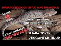 Lagu Suara Tokek Keras Pengantar Tidur Anak, Suara Tokek Seram Supaya Cepat Tertidur - Gecko Sounds