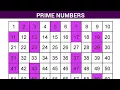 Prime Number program in Java