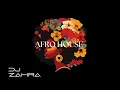 AFRO HOUSE ✨🪽| VIBES BY DJ ZAHRA VOL.2