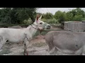 Download Lagu https://youtu.be/w8aKpSzka50?si=EdqdeC-LIdm92sHC