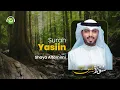 Surah YASIN Merdu dan Menyejukkan - Shaya Altamimi | Tadabbur Daily