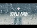 Denis Coleman - Don't Wait (Martin Jensen Remix)  | 30mins - Feeling your music