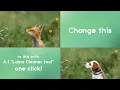 How to use Lama Cleaner a i to edit images
