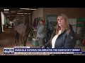 Emerald Downs trainer What it takes to get to the Kentucky Derby FOX 13 Seattle
