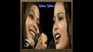 التومات معايا معايا 