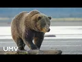 Alaska Hunting Season at UMV