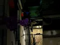 Download Lagu ratih kamanjaya.