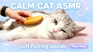Calm Cat ASMR 🐱 Soft Purring Sounds for Deep Sleep & Stress Relief