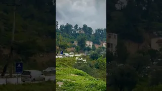 لما الوداع وانت عمري كله 