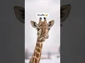 Animals with down syndrome