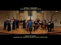 Handel Sarabande in D Minor HWV 437 (La Folia), Voices of Music, 4K Ultra High Definition video