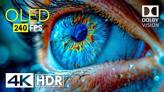 Mind Blowing OLED Dolby Vision - 4K R 240 fps
