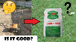 Planting Kentucky 31 Tall Fescue From Weeds to Green Lawn