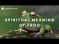Spiritual Meaning of Frog Frog Spiritual Meaning