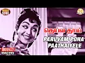 Download Lagu P Susheela Hits | Paruvam Pona Paathaiyele Video Song | Deiva Thai | MGR | Saroja Devi |SathyaMovies