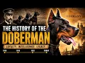 WHY THE DOBERMAN WAS CREATED