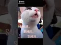 Download Lagu KUCING Bangunin sahur sahur/film lucu
