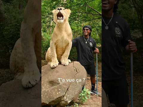 Le clip est disponible sur ma chaîne !