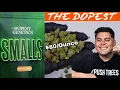The Dopest Shop SMALLS Review Frosty Punch