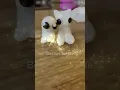 The autism creature now has a friend