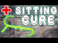 SIT ALOT IF YOU DO YOU NEED THIS GoFit Muscle Hook Review
