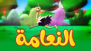 النعامة طيور بيبي Toyor Baby 