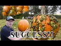 Pumpkin Harvest 2021