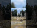 Lawsuit Accuses Son in Cemetery Groundskeeper s Death