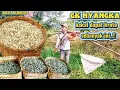 Download Lagu tak terduga,!! akhirnya malah dapat hasil yang mantap jiwa,🔥