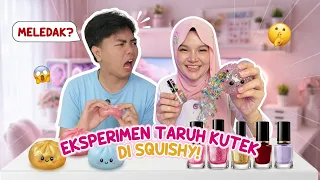 EKSPERIMEN TARUH KUTEK DI SQUISHY⁉️HASILNYA MELEDAK SEMUAA🤯