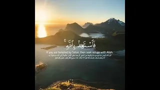 خذ العفو وأمر بالعرف وأعرض عن الجاهلين أواخر سورة الأعراف عبد الرحمن مسعد  خذ العفو وأمر بالعرف وأعرض عن الجاهلين أواخر سورة الأعراف عبد الرحمن مسعد