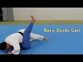 Basic Ouchi-Gari Detailed Breakdown
