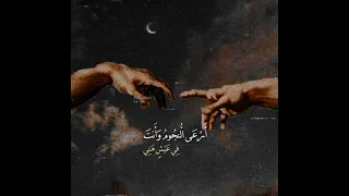 تركتني حيران صبا هائما هادئة 