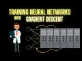 How a Neural Network Learns with Gradient Descent Technical Explainer