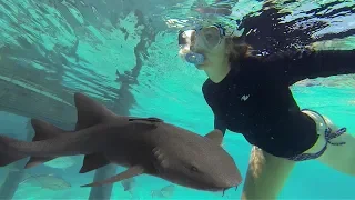 She TOUCHED A Shark! | Sailboat Story 40