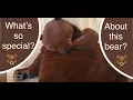 IKEA Djungelskog Bear - What s so special about this bear