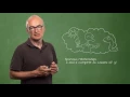 Lecture 2 The Multivariate Regression Model and Mediating Factors