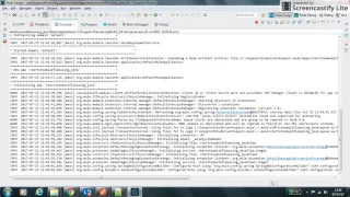 Start Stop Mule Flow Using Java