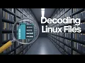 Linux File System Structure Explained From to usr Linux Basics