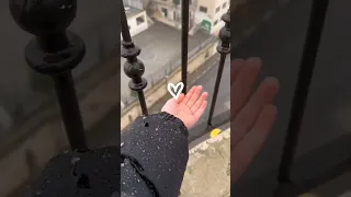 أناشيد دينية سبع طوال أنزلت من ربنا ورتلت أولهن البقرة طاردة للسحرة 