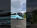 Download Lagu SROKkk‼️basuri stecu stecu tervirall🥰🤩 #basuri #busmania #busakap #buspariwisata