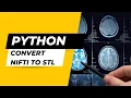 How to Convert Nifti Files into STL Files Using Python