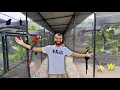 Download Lagu BIGGEST Private BIRD Facility in the USA!!! 