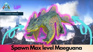 Tamed Maeguana Spawn Command Ark Survival Ascended