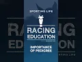 Importance of Pedigrees in Horse Racing Racing Education Masterclass - Episode 2