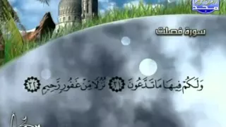 الشيخ محمد أيوب   تلاوات مختارة   سورة فصلت دندنها