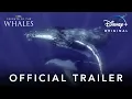 Secrets of the Whales Trailer Disney