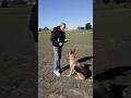AKC Fast Cat How I build bag drive