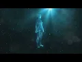 The Cosmic Connection Unity of Life