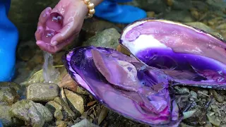 Hiding a golden luster like clam, containing sea blue pearls, the beauty is breathtaking!